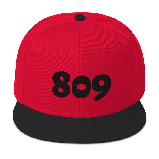 Snapback Hat - 809